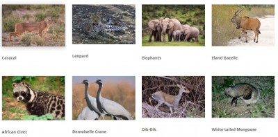 Kafta-Shiraro National Park