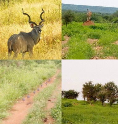 Kafta-Shiraro National Park