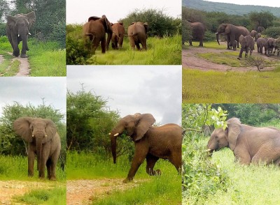 Kafta-Shiraro National Park