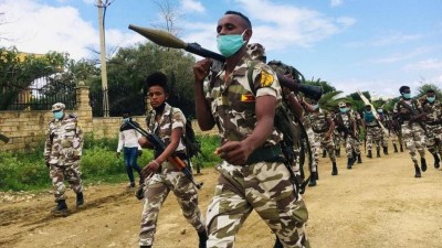 Tigray Defense Forces