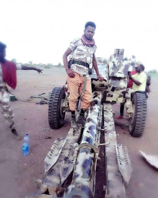 Captured Military hardware - TDF