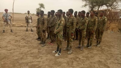 Captured Military hardware - TDF