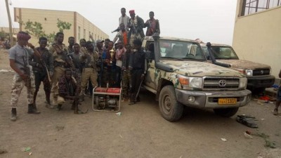 Captured Military hardware - TDF