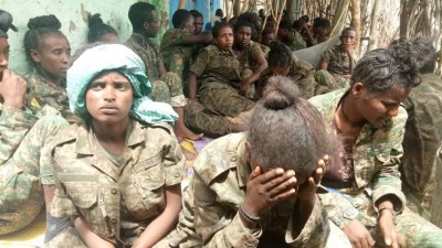 Captured Military hardware - TDF