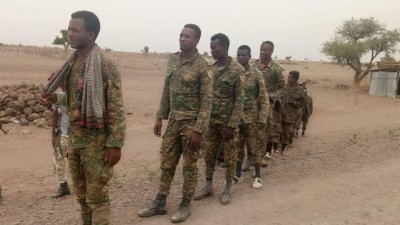 TDF-in-Afar-9.jpg