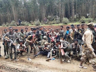 TDF in Gashena