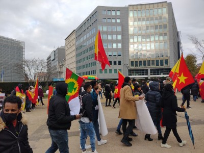 tegaru-in-brussels-4.jpeg